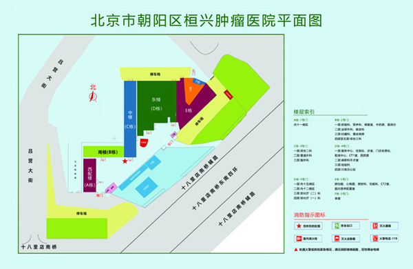 黄色在线污w北京市朝阳区桓兴肿瘤医院平面图